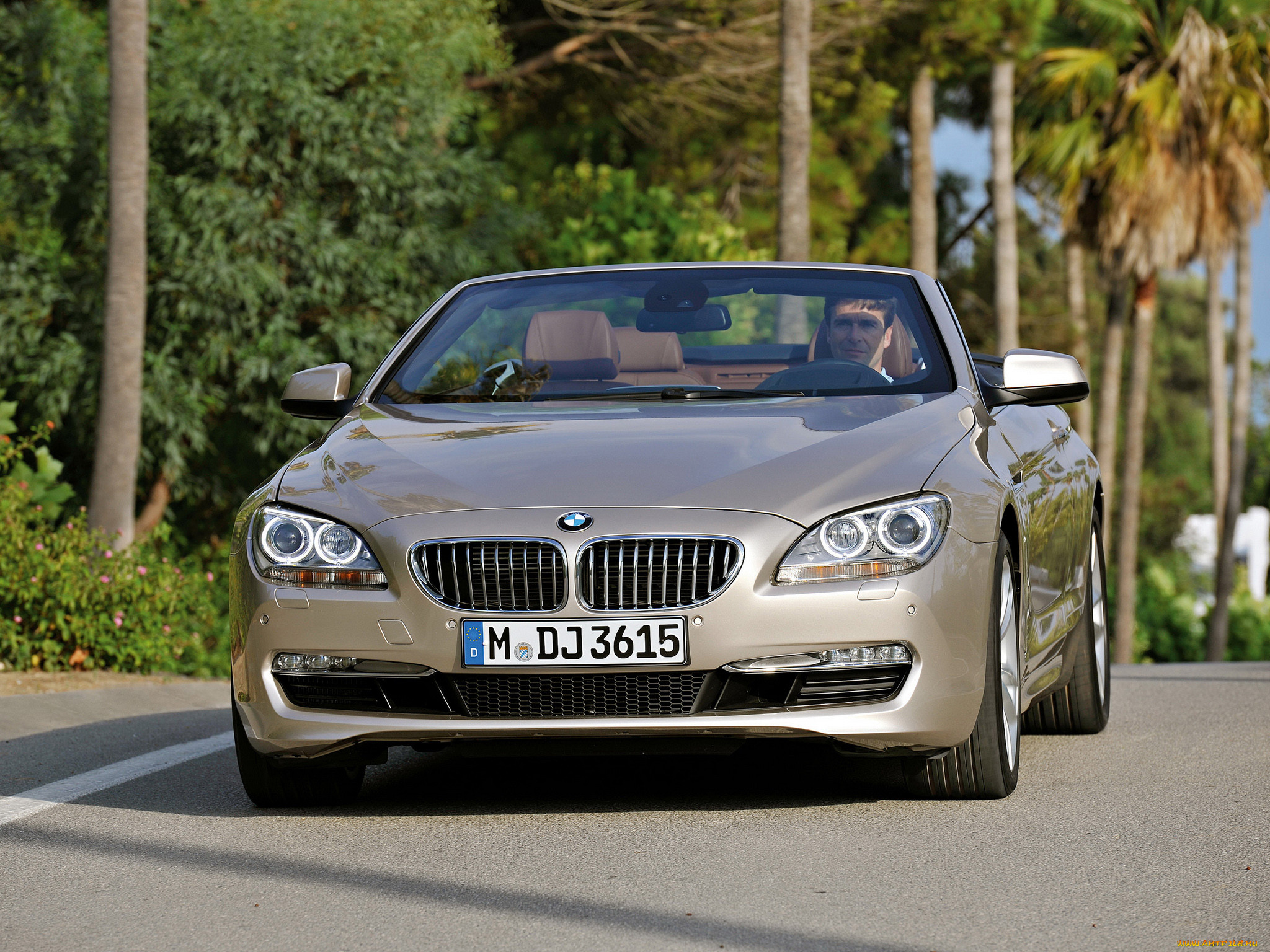 , bmw